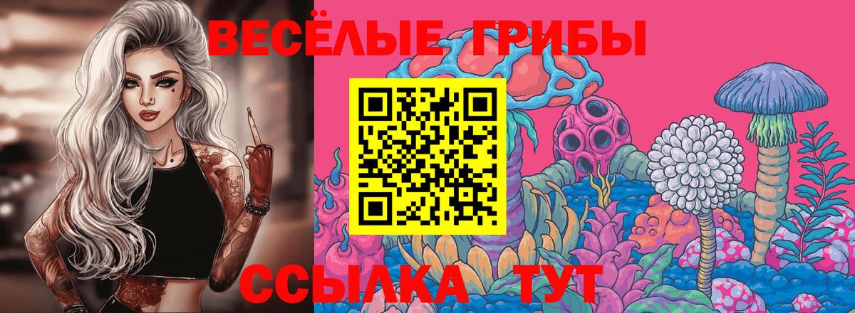 Галлюциногенные грибы Psilocybe Зеленокумск